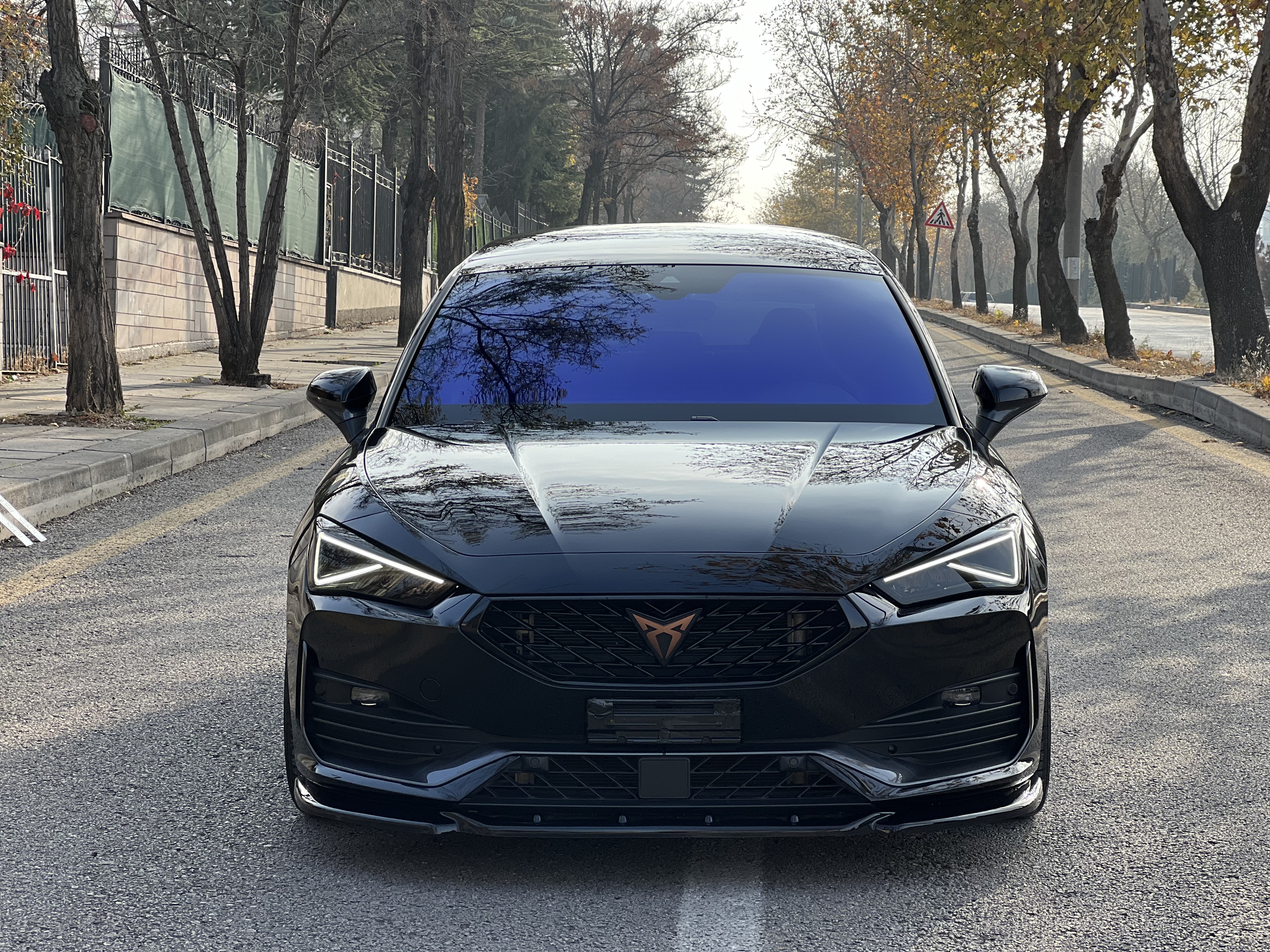 Cupra Leon İthal Design Set 